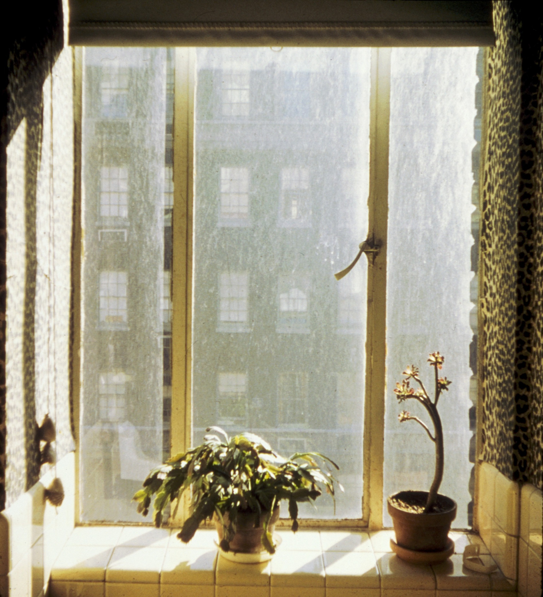 Stephen Shore. New York, New York