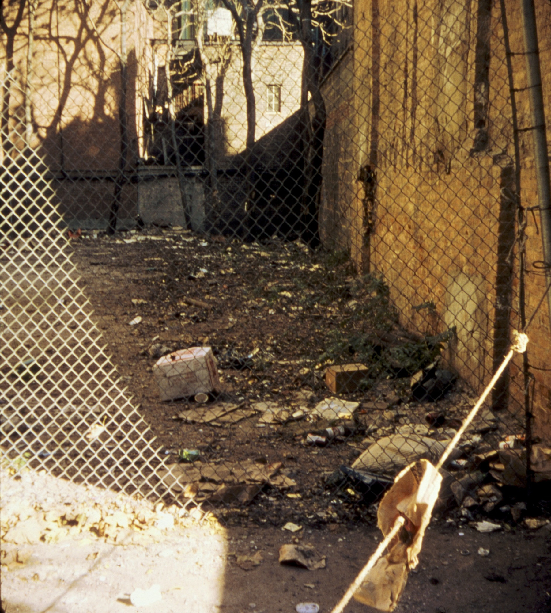 Stephen Shore. New York, New York