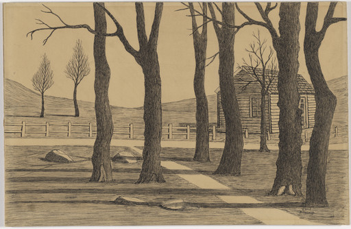 Trees and Shack