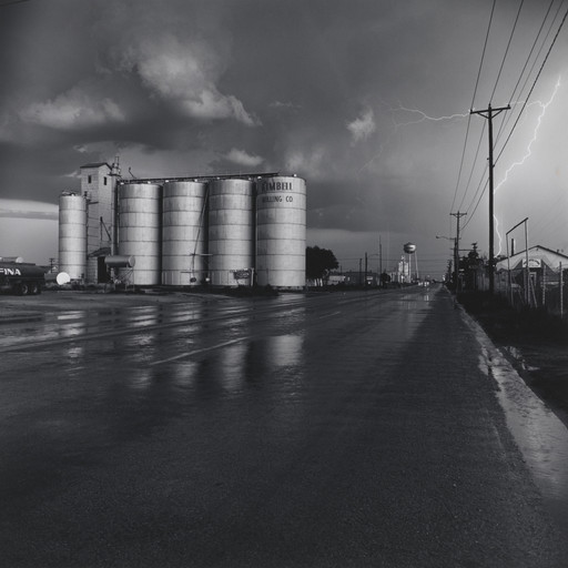 Frank Gohlke. Brick Building in the Shadow of a Grain Elevator