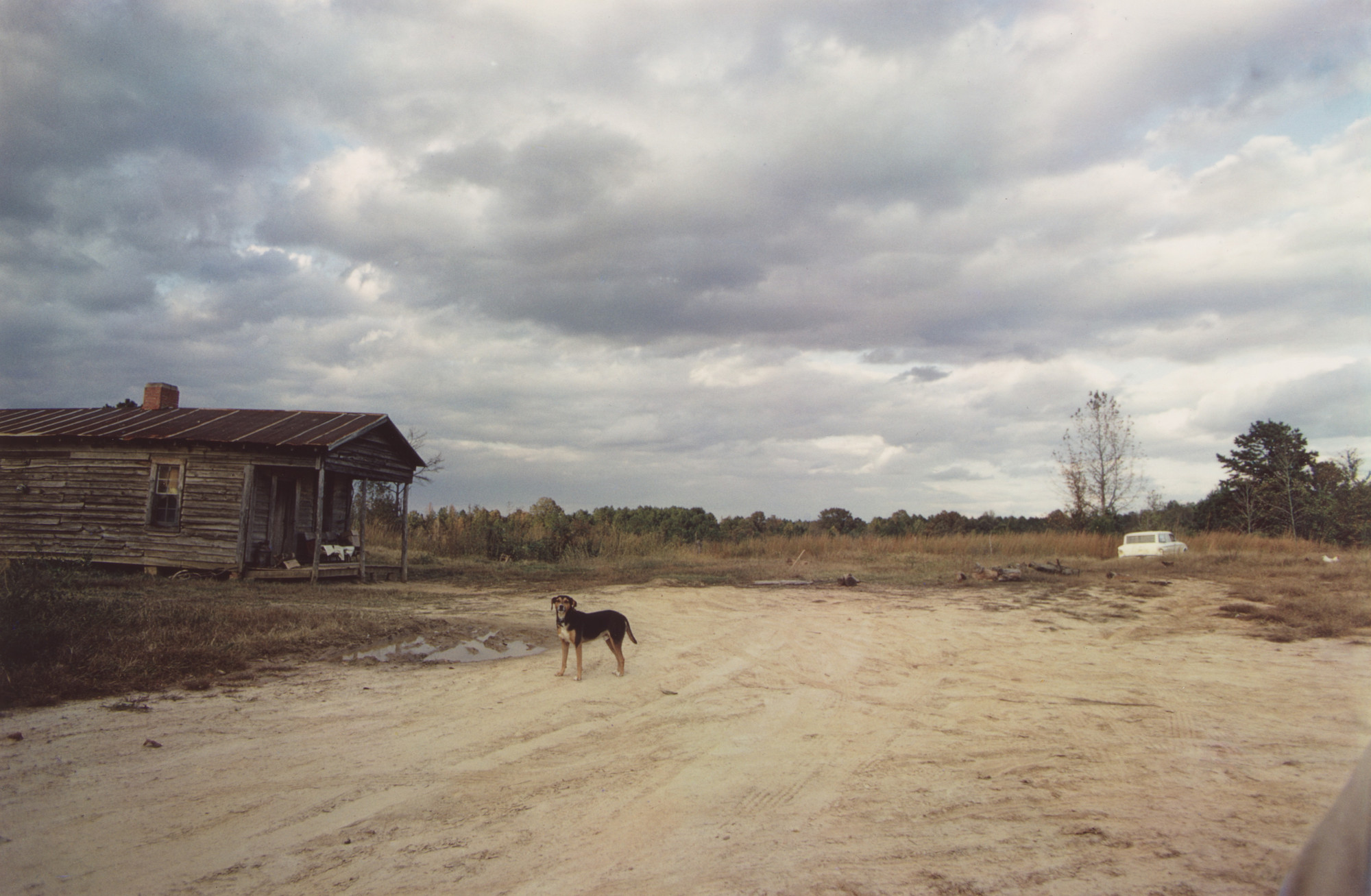 William Eggleston. Near Extinct Wannalaw Plantation, Mississippi. c. 1972