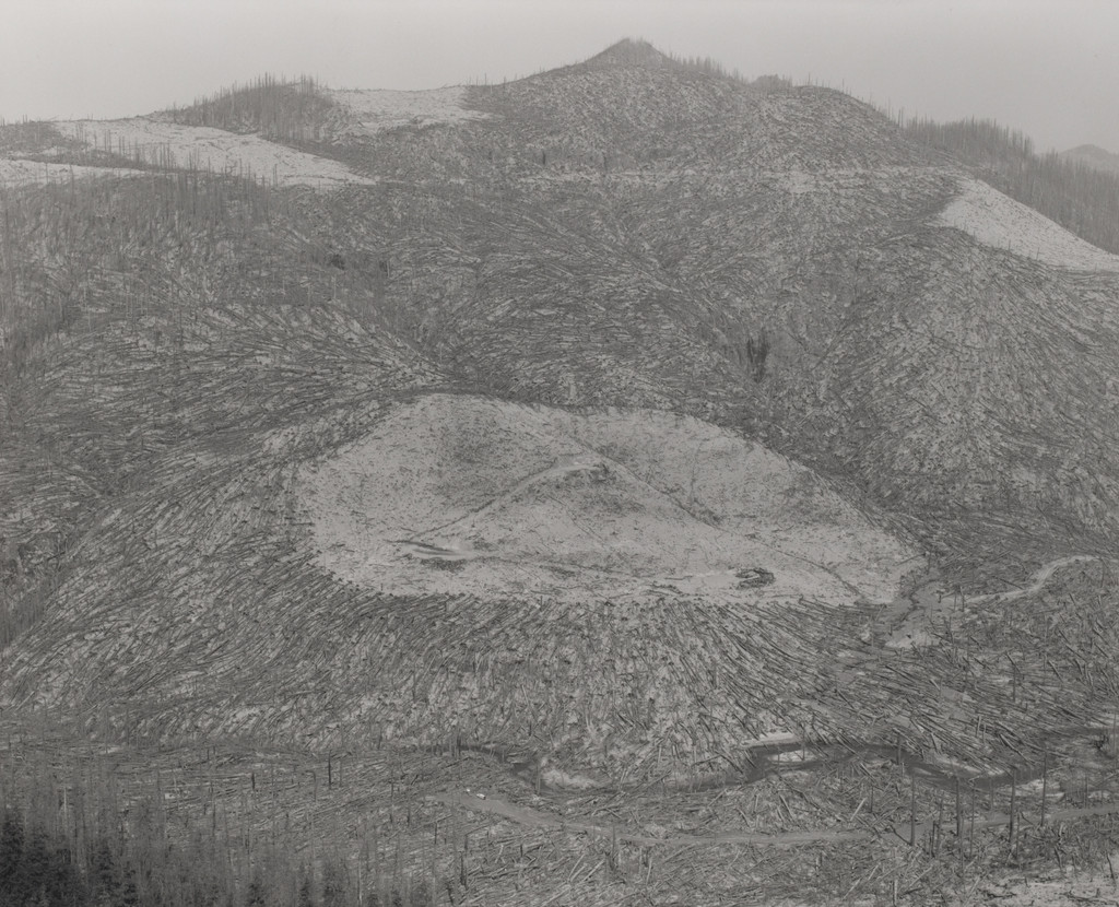 Old clear-cut surrounded by blown-down trees. Clearwater Creek Valley, nine miles northeast of Mount St. Helens