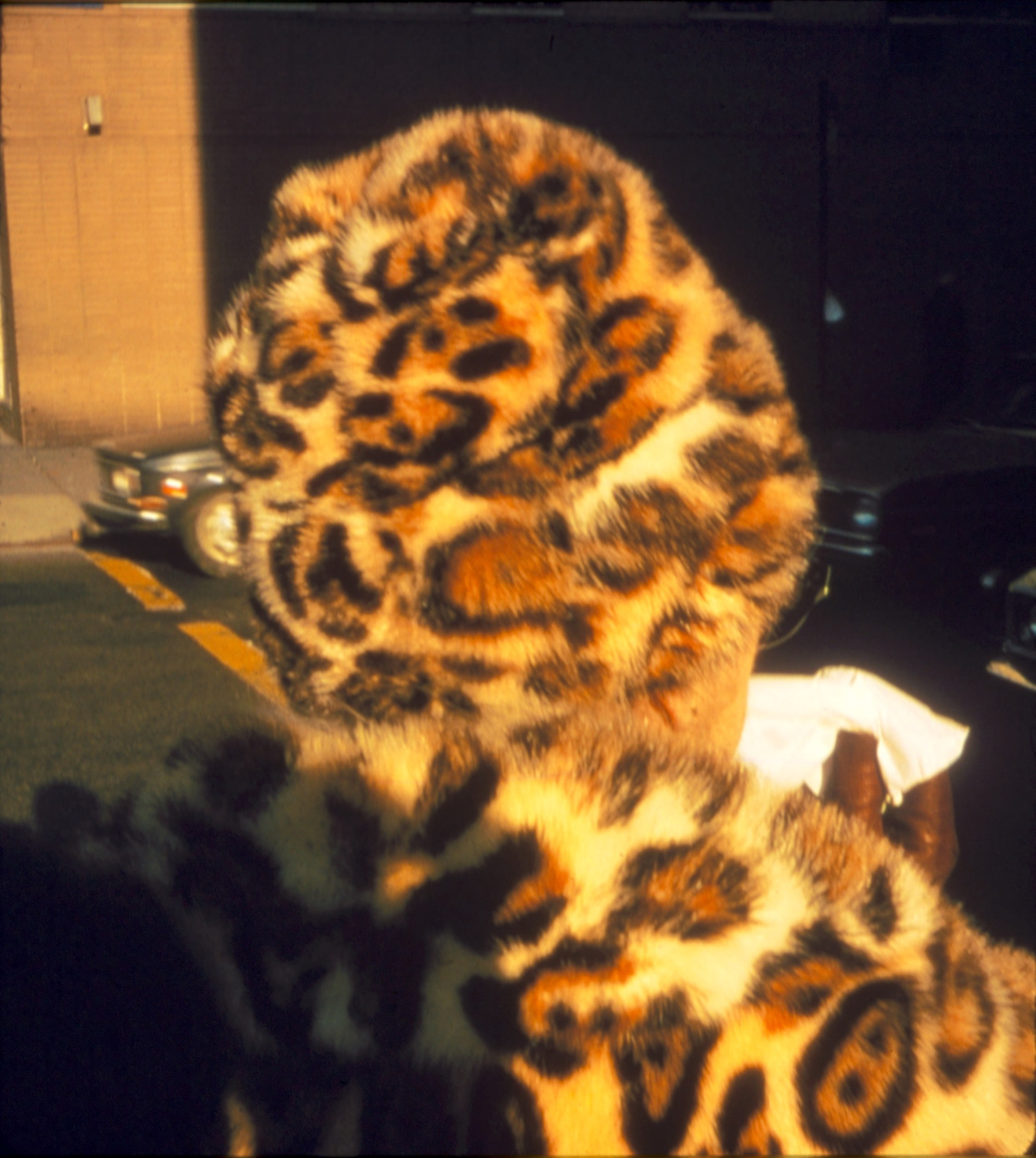 Stephen Shore. New York, New York