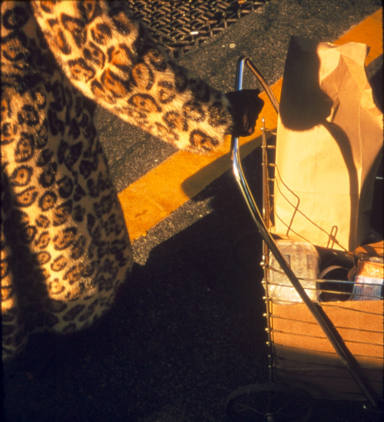 Stephen Shore. New York, New York. 1974 | MoMA