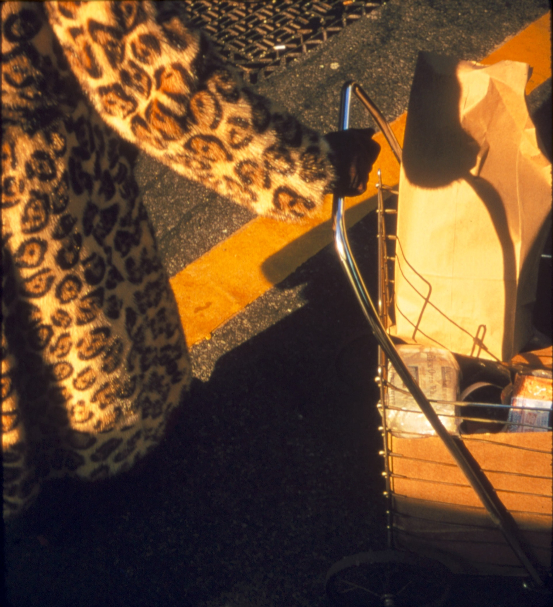 Stephen Shore. New York, New York
