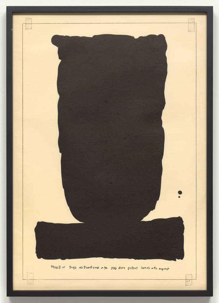 Untitled (Tongue of a Camel Tasting Rock Salt at a Construction Spot in Egypt) from an untitled series, Kim Beom, 2016