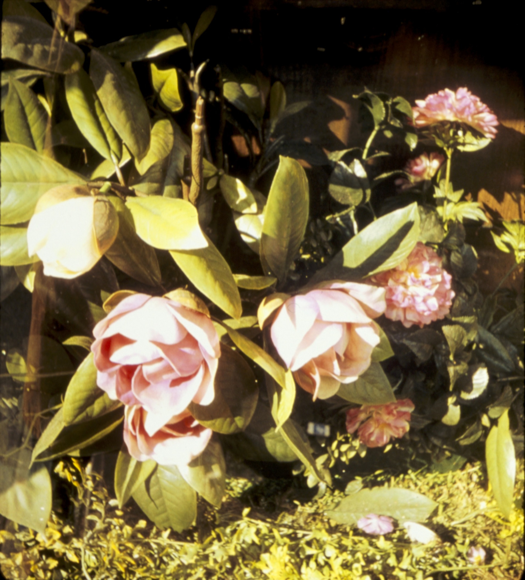 Stephen Shore. New York, New York
