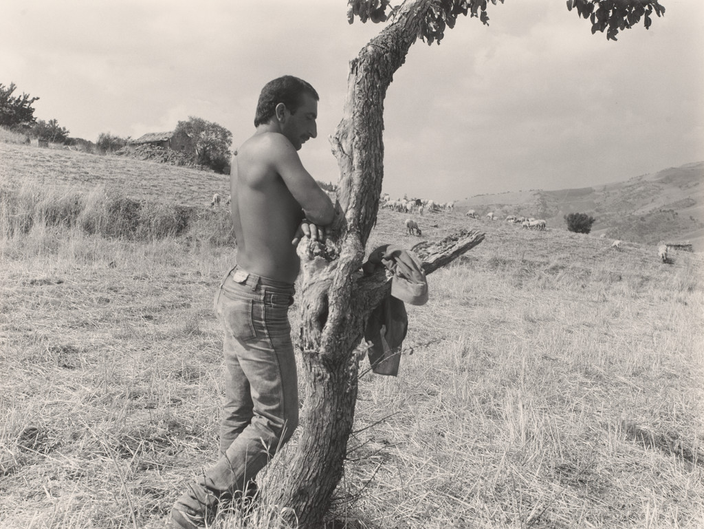 Shepard Leaning on Tree, Sicily, Thomas Roma, 1986