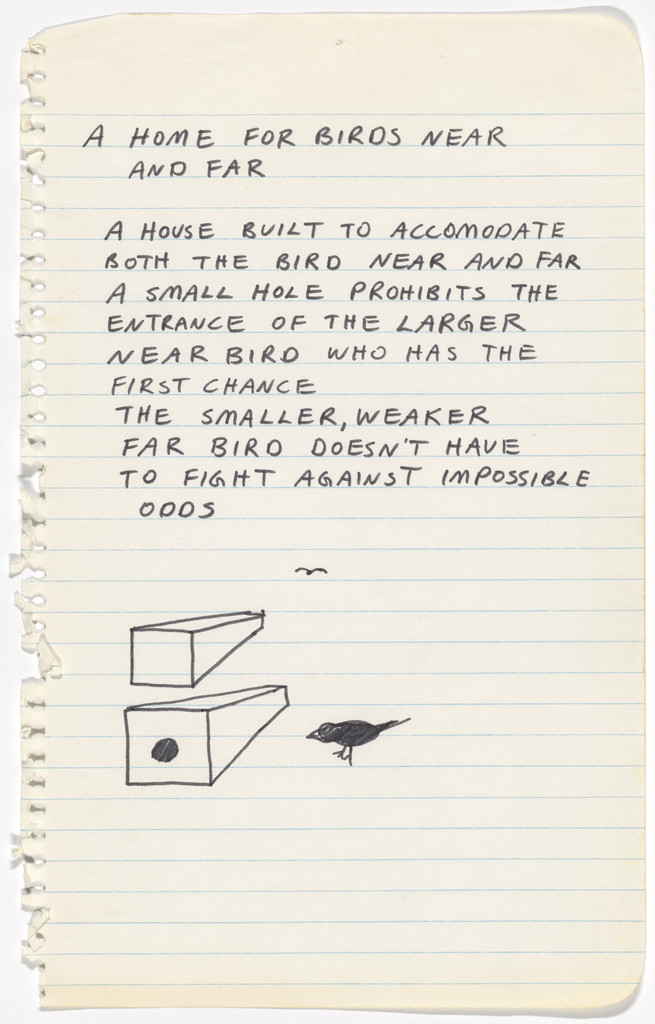 A Home for Birds Near and Far