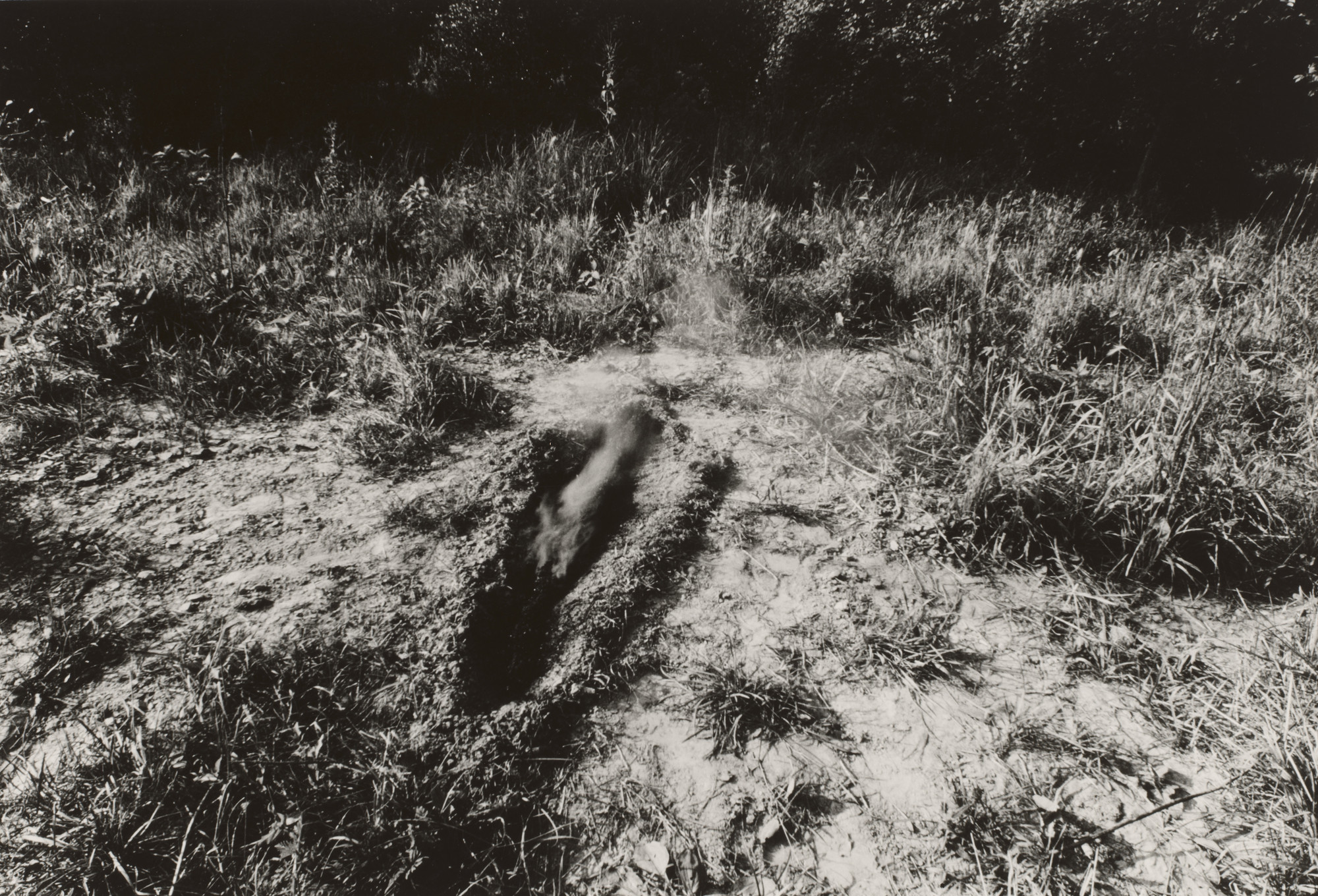 Ana Mendieta. Untitled. 1978
