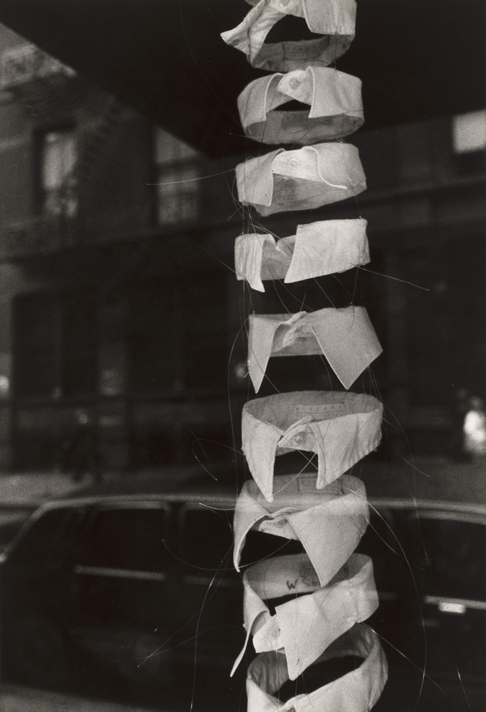 Collared: New York City