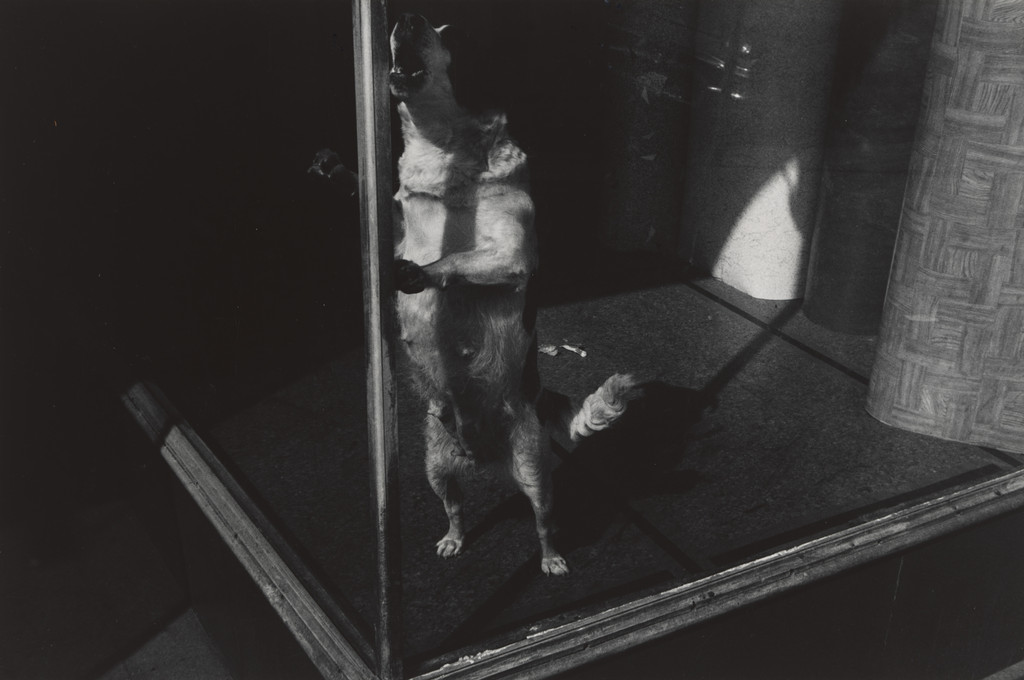 Jersey City, New Jersey