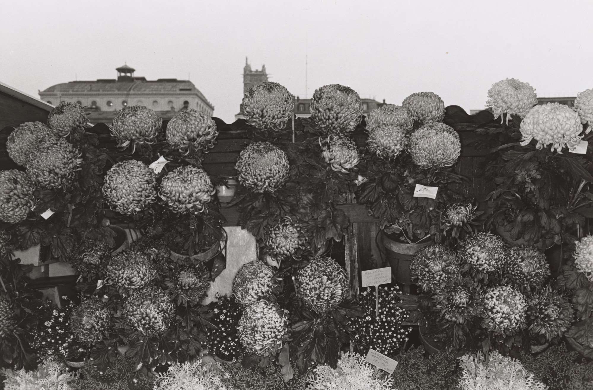 Lee Friedlander. Paris, France. 1968