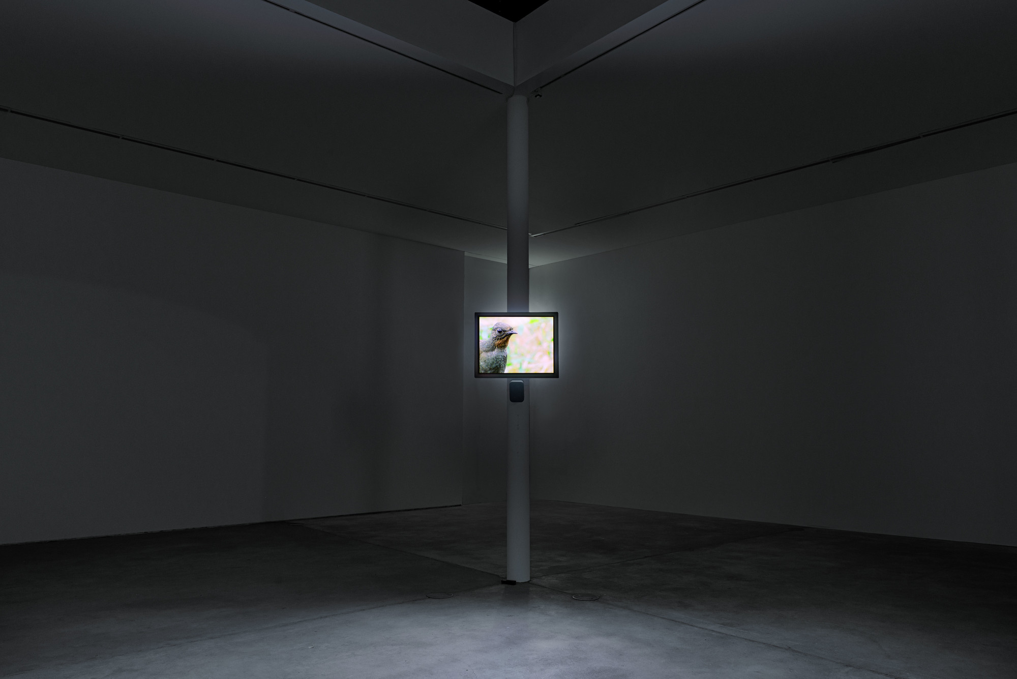 Kader Attia. Mimesis as Resistance. 2013