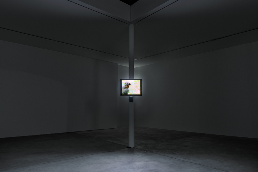 Mimesis as Resistance