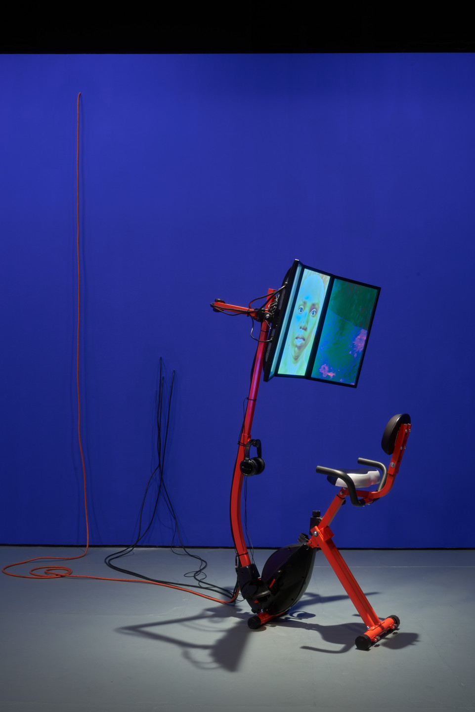 Sondra Perry. Graft and Ash for a Three Monitor Workstation. 2016