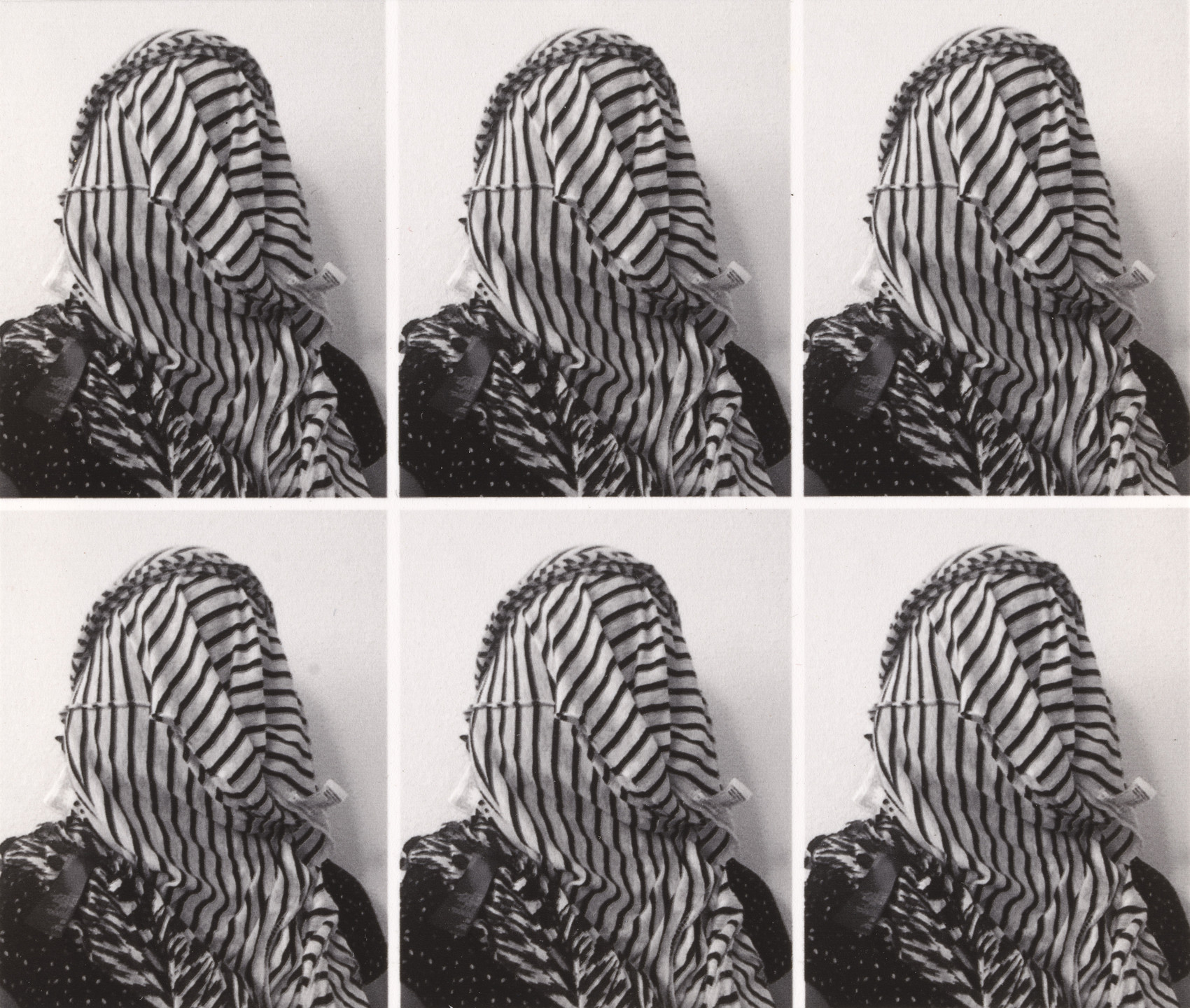 Stephanie Syjuco. Applicant Photos (Migrants) #1. 2013-17