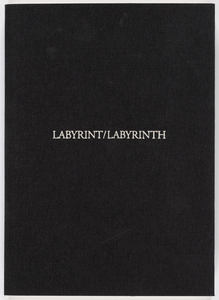Labyrinth (Labyrint)