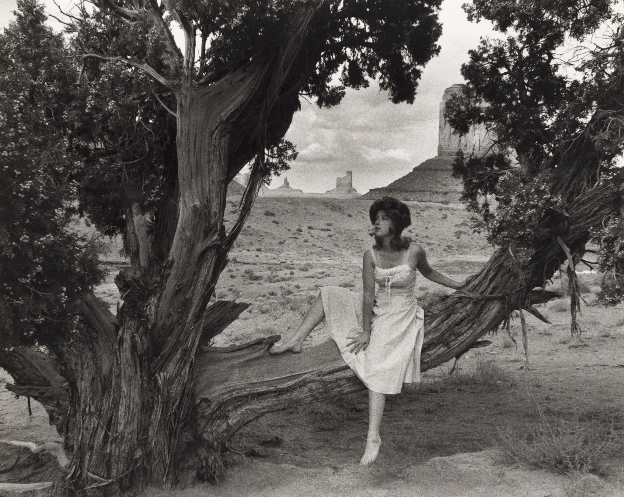 CINDY SHERMAN大型本Flammarion JEU DE PAUME CINDY SHERMAN大型本Flammarion JEU DE PAUME Cindy sherman