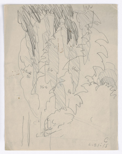 Untitled (Dropping Tree Branches)
