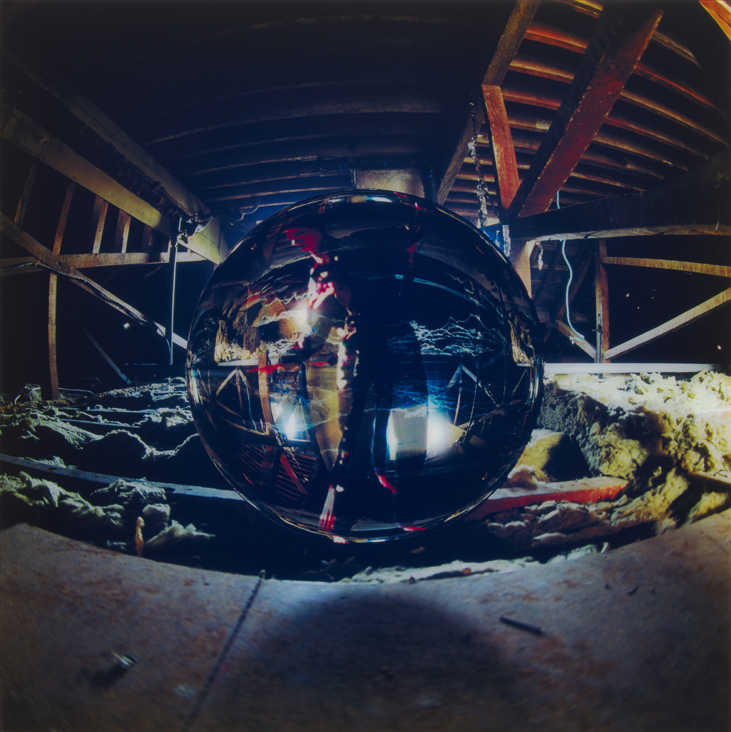 Jane Wilson, Louise Wilson. Crawl Space. 1995
