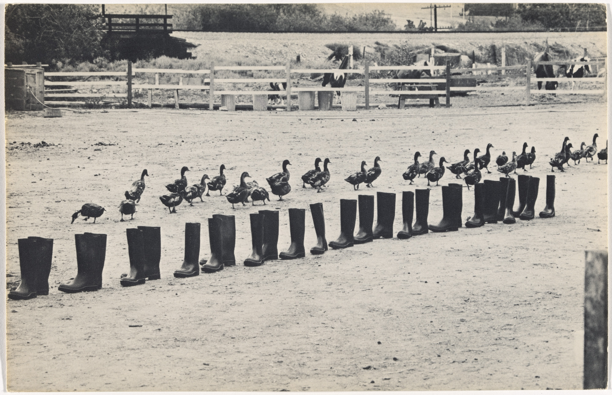Eleanor Antin. 100 Boots. 1971-73