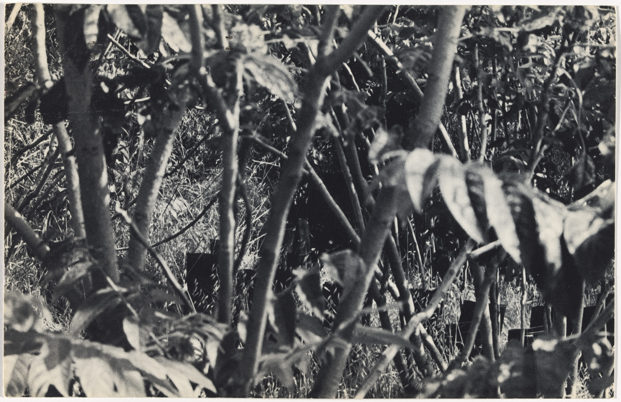 Eleanor Antin. 100 Boots. 1971-73
