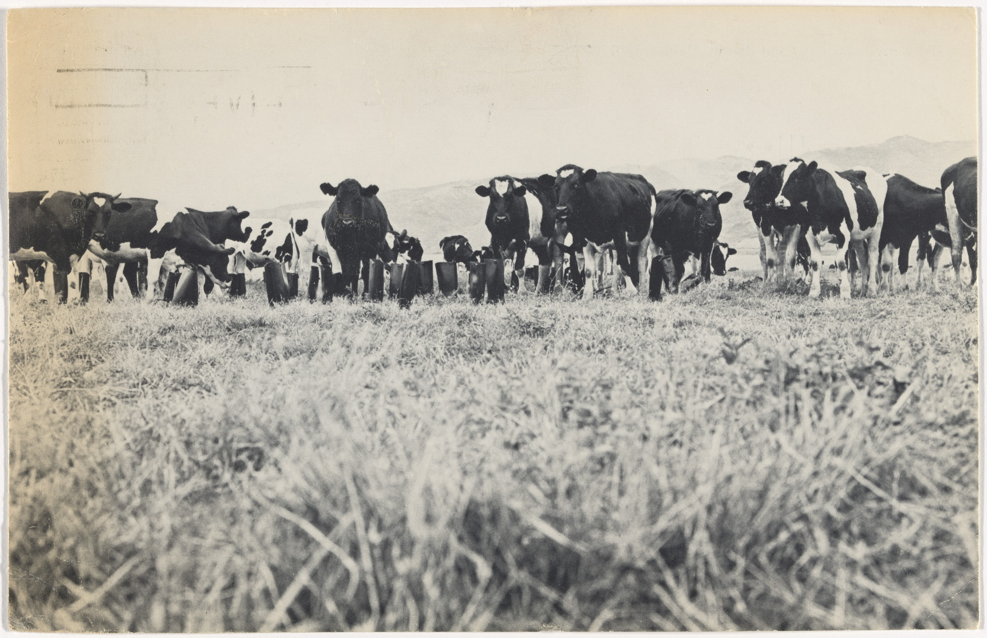 Eleanor Antin. 100 Boots