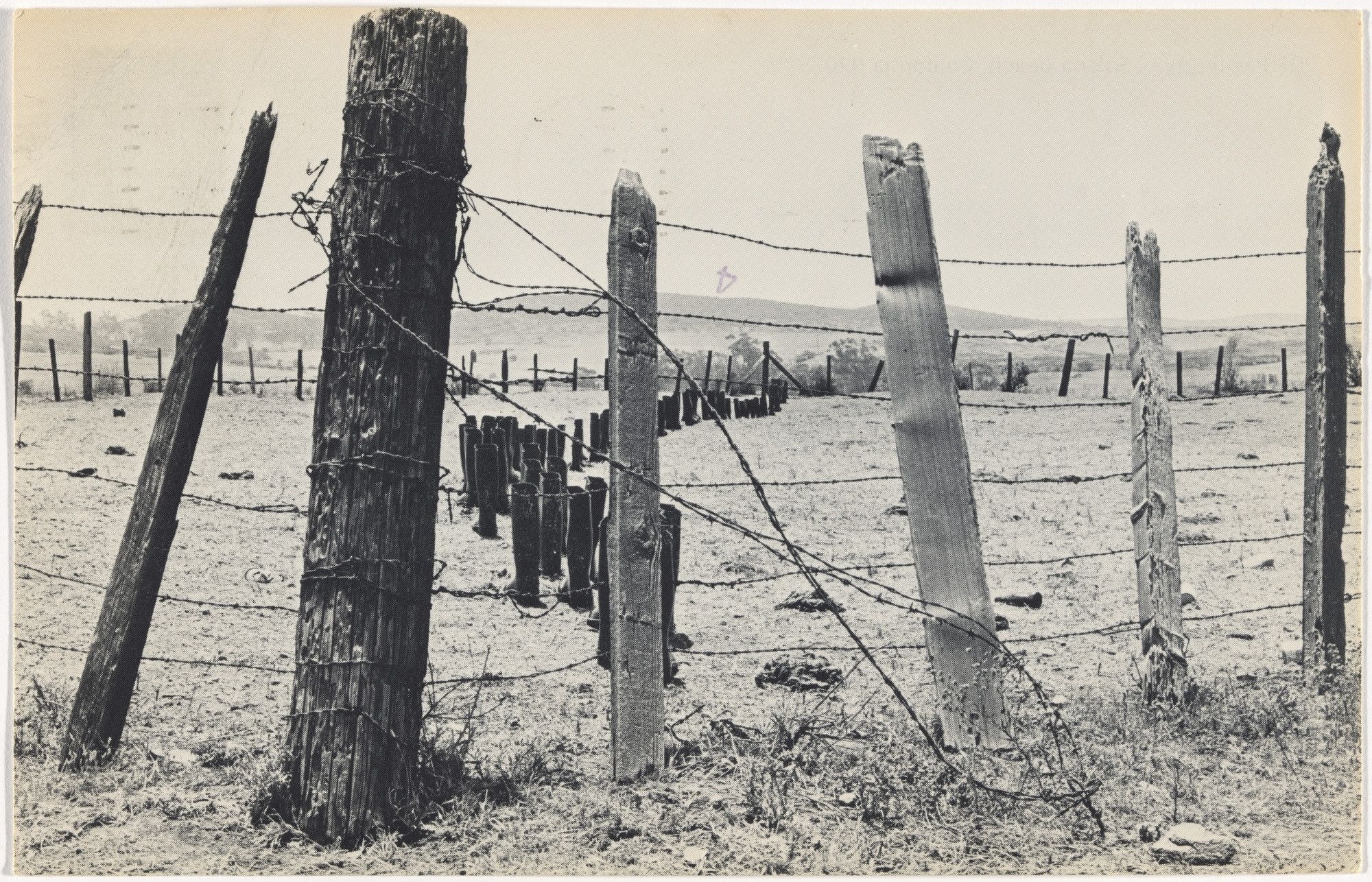 Eleanor Antin. 100 Boots