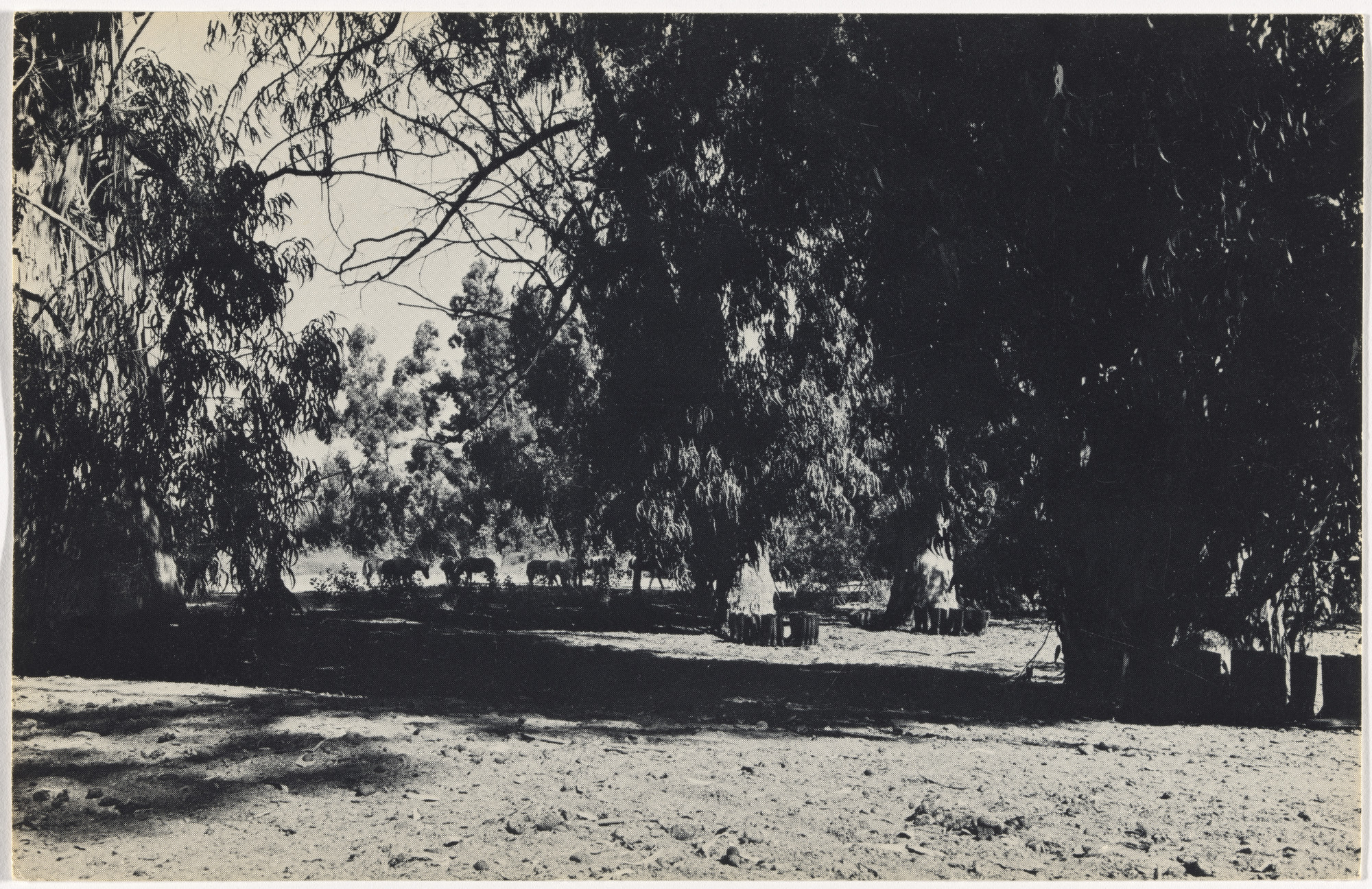 Eleanor Antin. 100 Boots. 1971-73