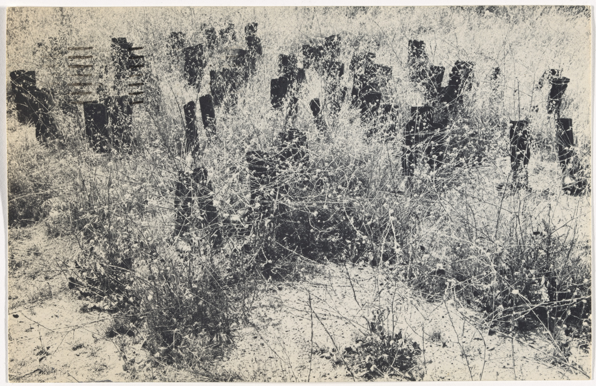 Eleanor Antin. 100 Boots. 1971-73