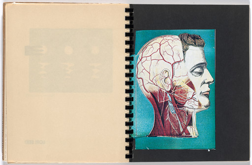 Untitled (folios 37–41) from Eye Magazine #14 "Cobalt Myth Mechanics"