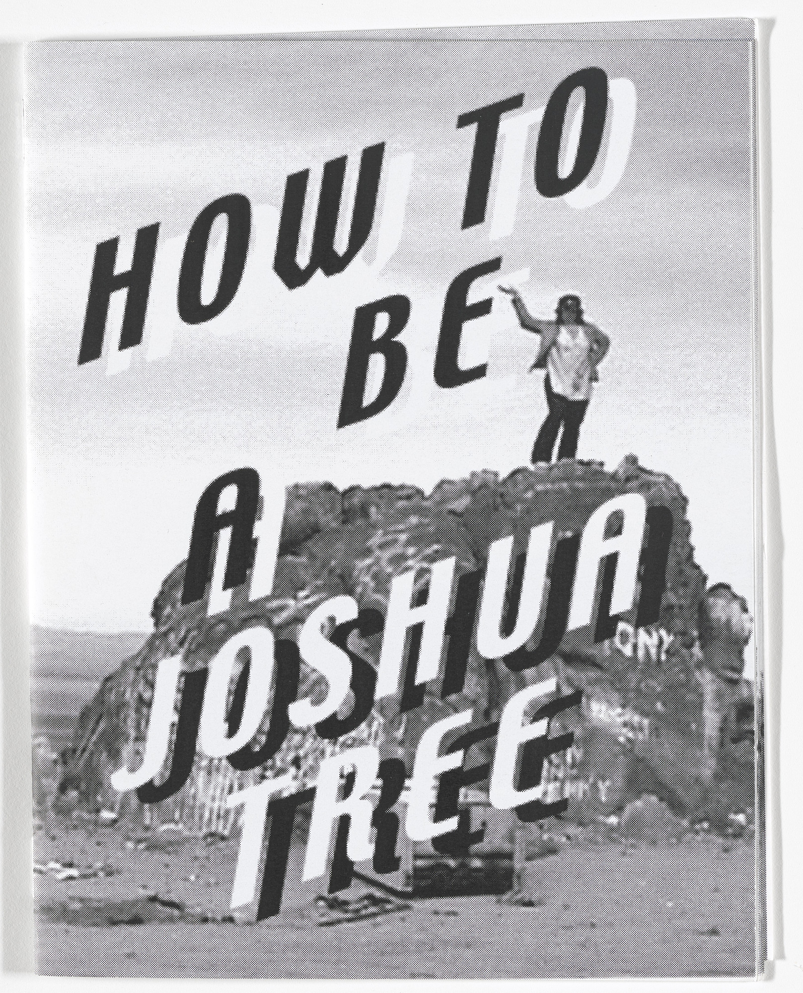 Aleksandra Mir. How To Be a Joshua Tree