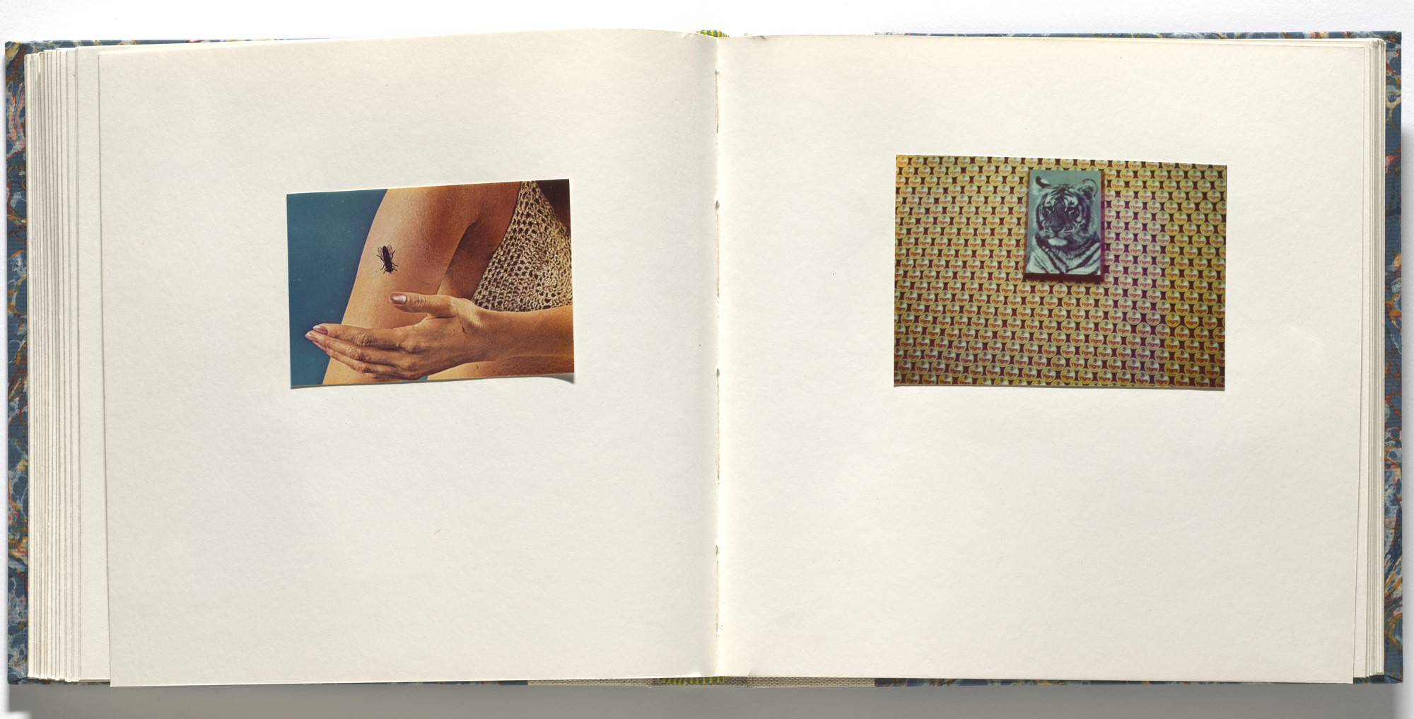 Luigi Ghirri. Cardboard Landscapes. 1971-73 | MoMA