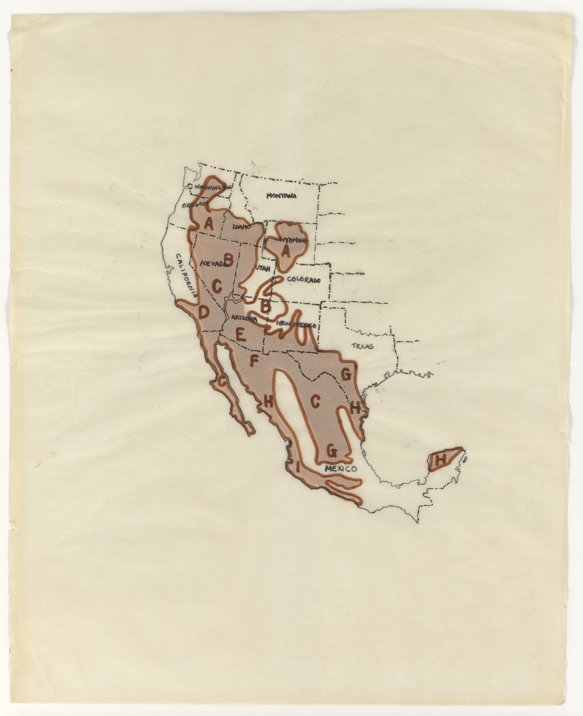 Nancy Graves. Proposal to Control the Current Brush Invasion in the Western United States and Mexico or the Reintroduction of the Camel to Fill a Niche Left in the Pleistocene. 1969