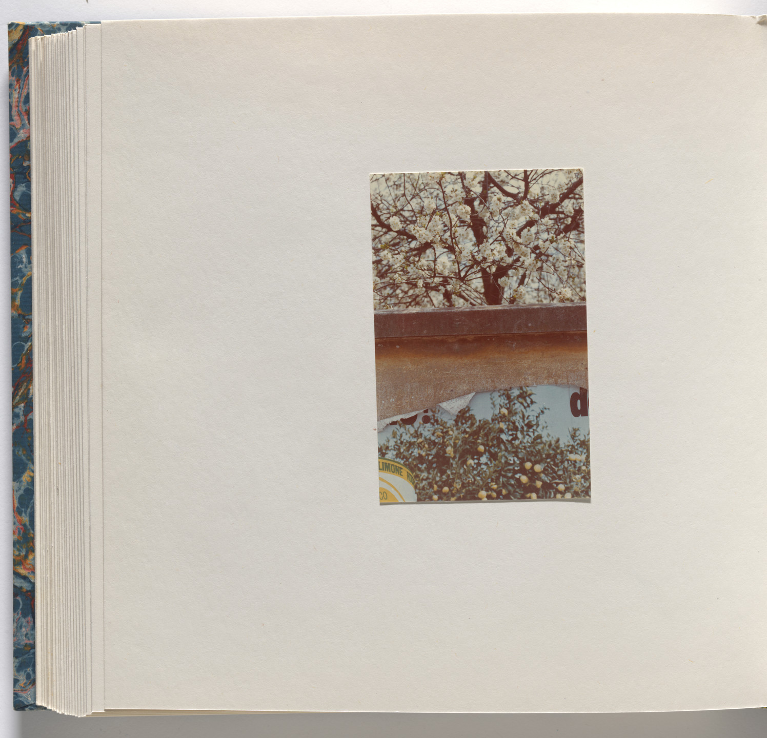 Luigi Ghirri. Cardboard Landscapes. 1971-73 | MoMA