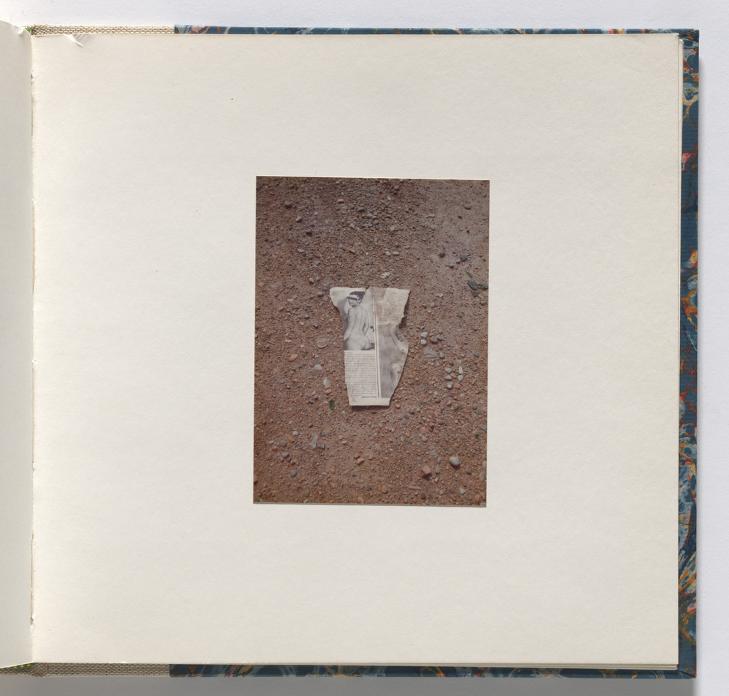 Cardboard Landscapes