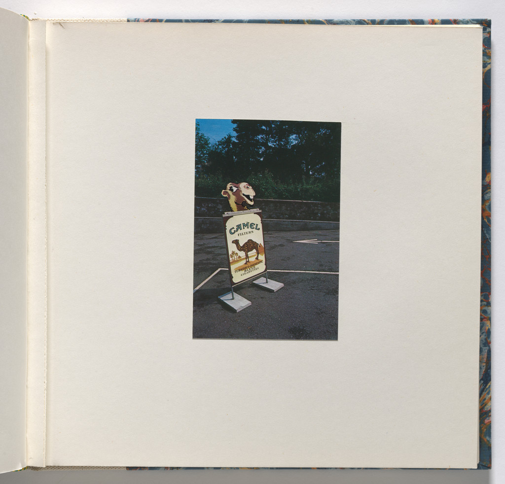 Cardboard Landscapes