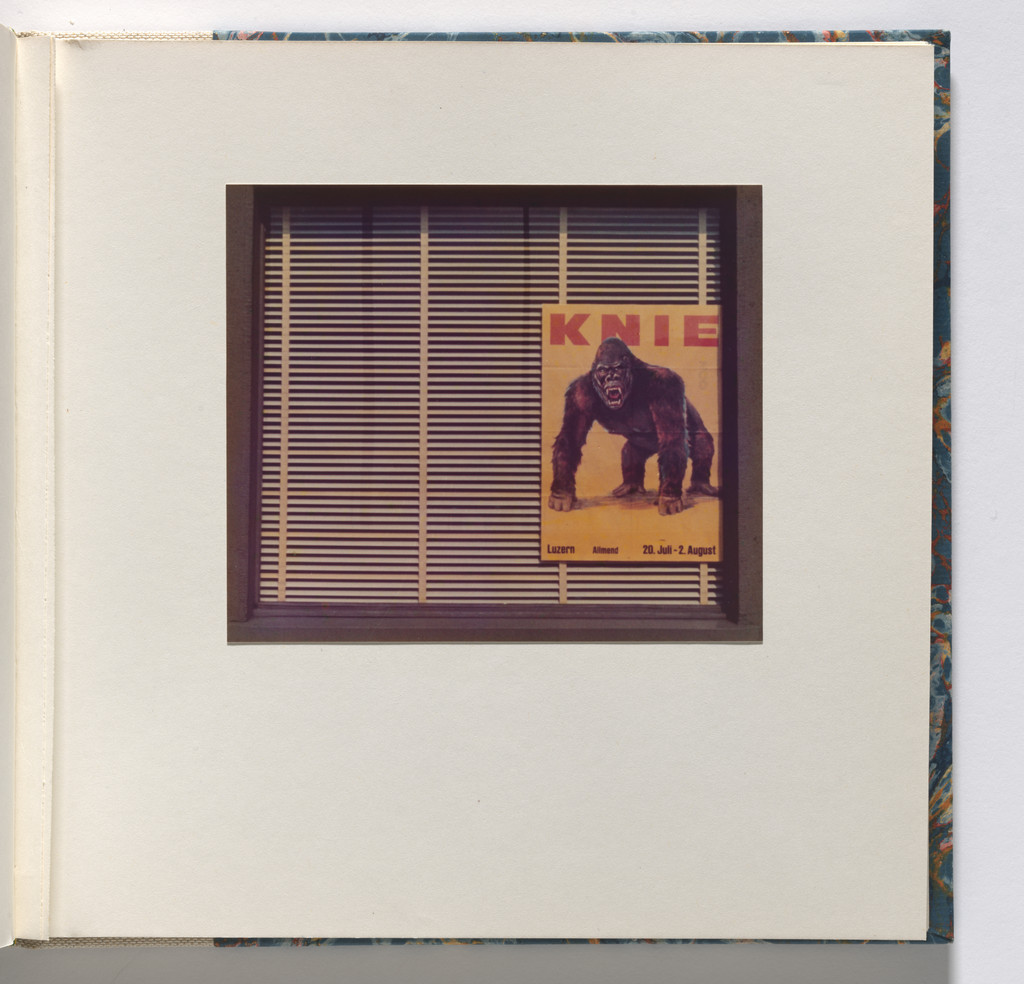 Cardboard Landscapes