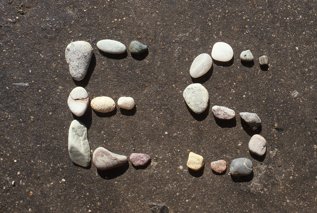 What is Poetry to You?