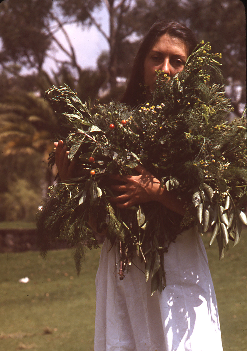 Cecilia Vicuña. What is Poetry to You?. 1980
