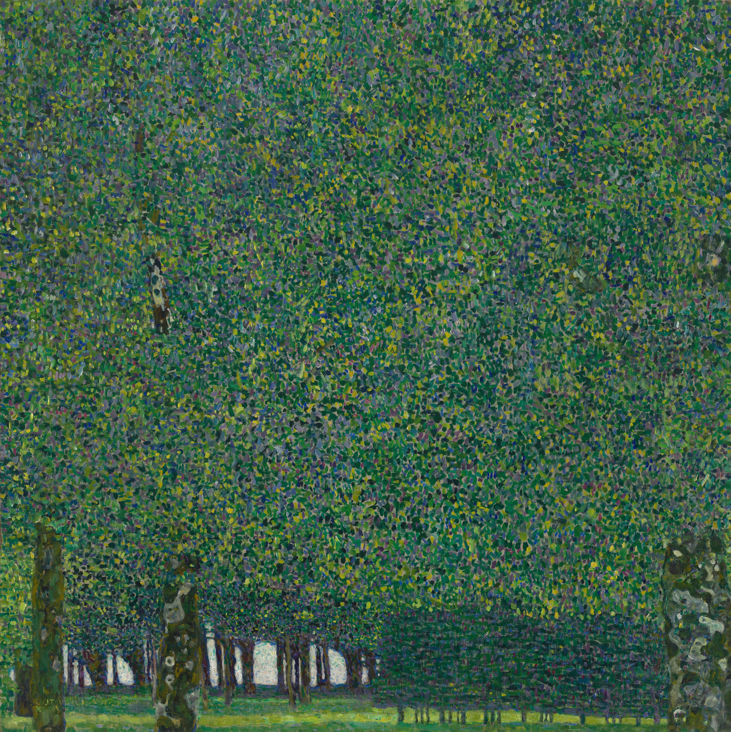 ikke ved siden af indvirkning Gustav Klimt. The Park. 1910 or earlier | MoMA