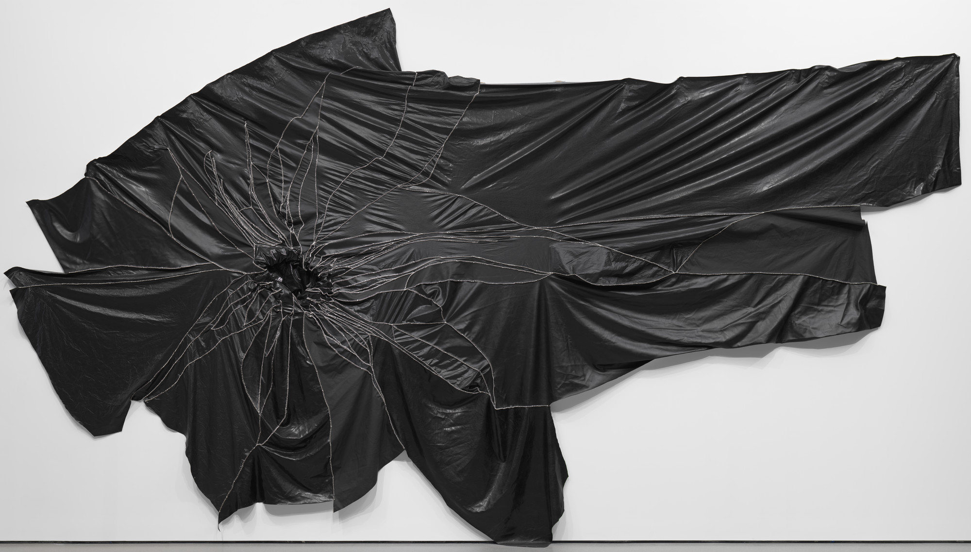 Rodney McMillian. Succulent. 2010