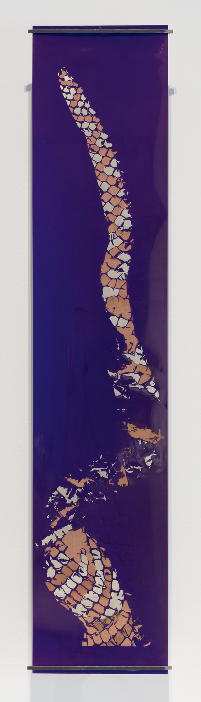 Sam Lewitt. Weak Local Lineament (Copperhead 08). 2014