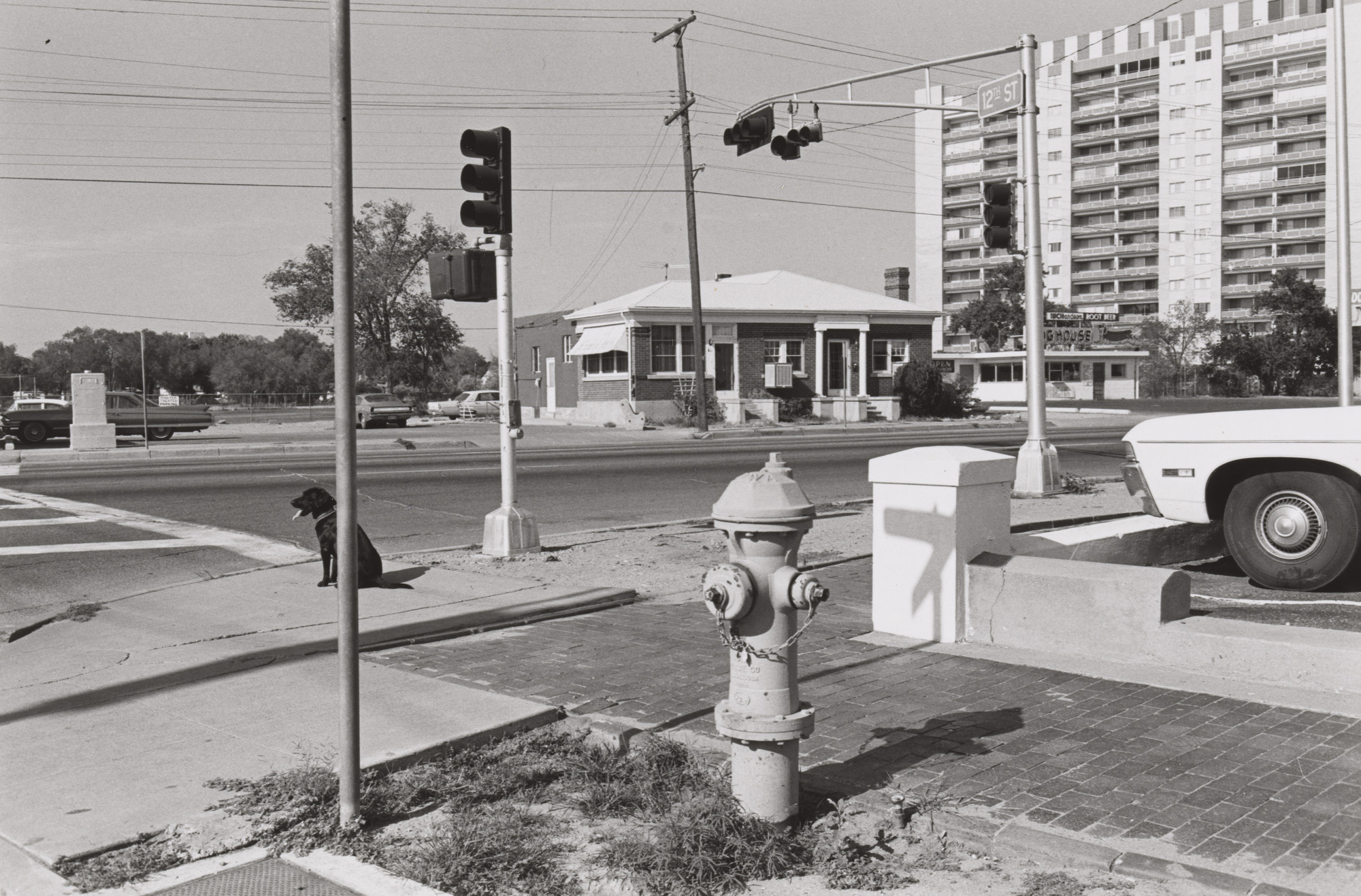 Lee Friedlander. Albuquerque, New Mexico