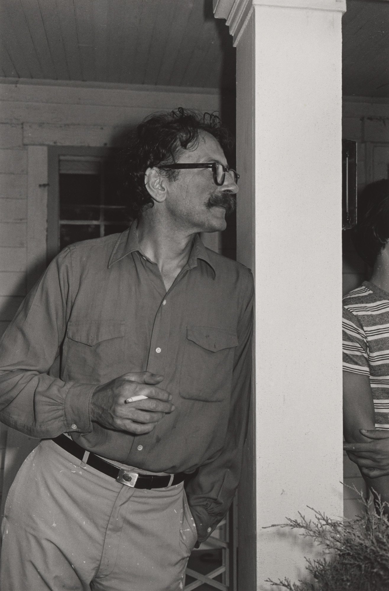 Lee Friedlander. John Szarkowski