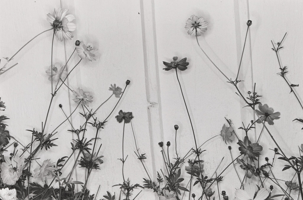 Craryville, New York