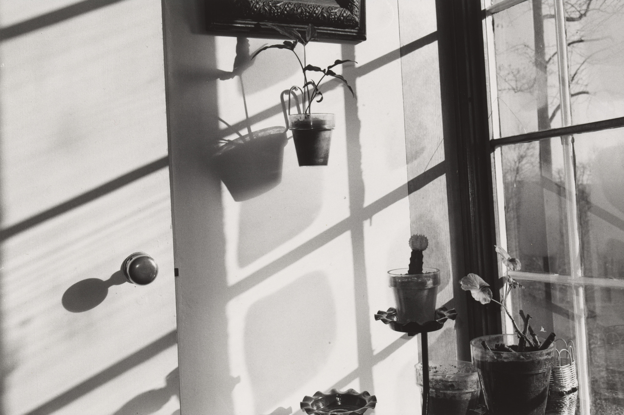 Lee Friedlander. New City, New York