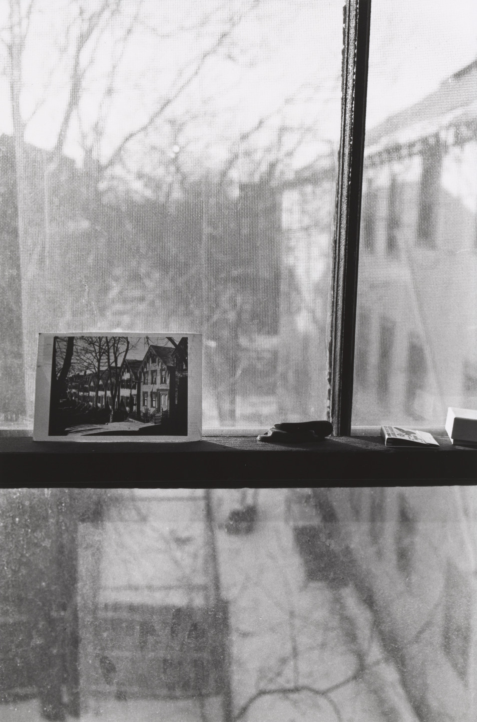 Lee Friedlander. Cambridge, Massachusetts. 1975