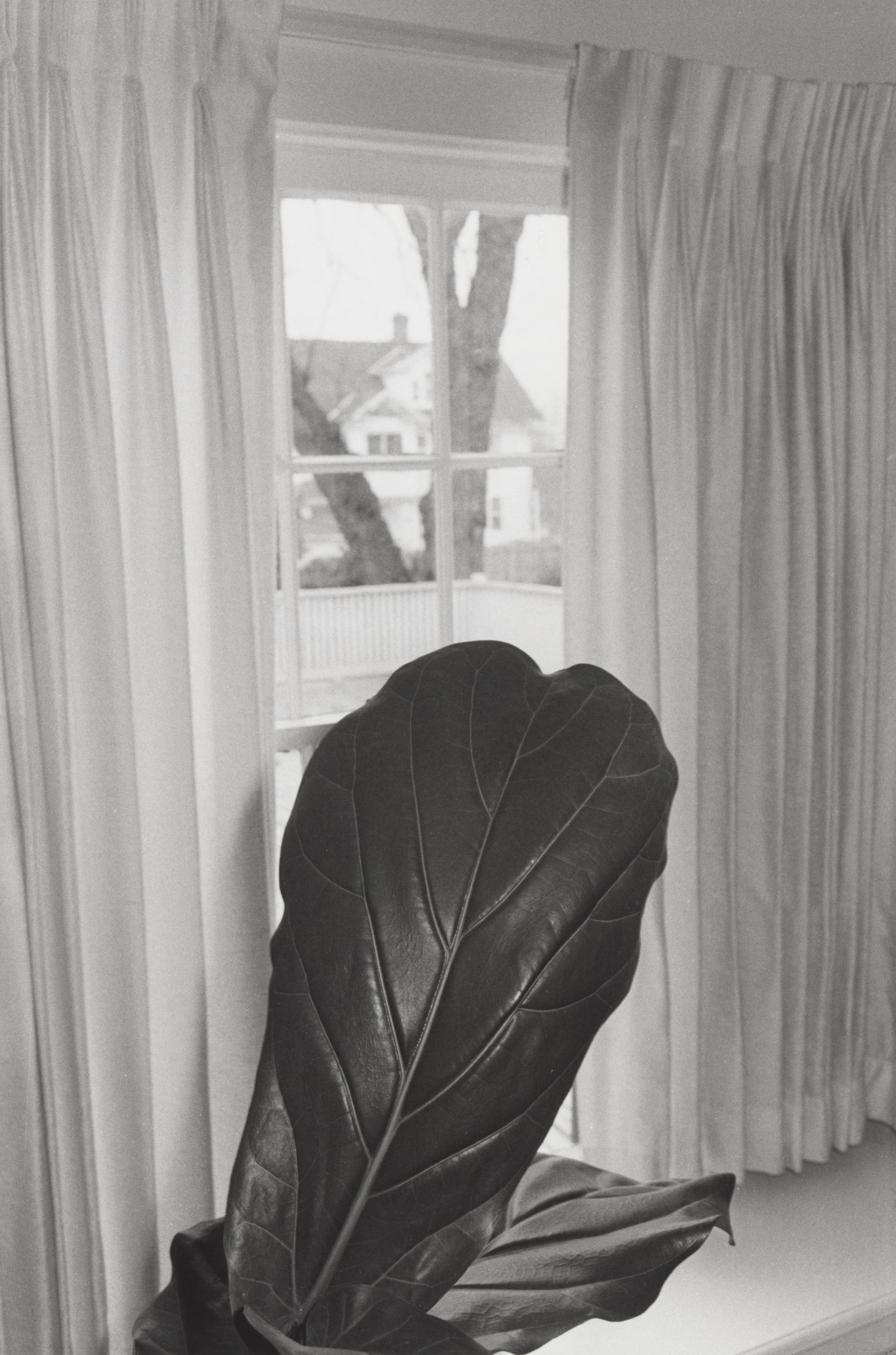 Lee Friedlander. Washington D.C.